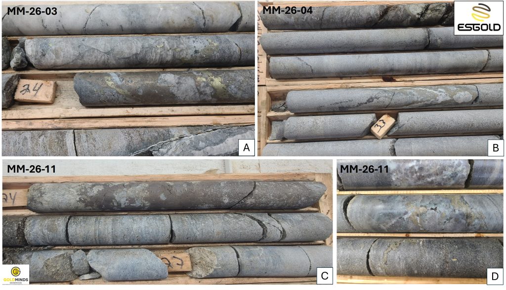 Four drill core photographs from ESGold holes MM-26-03, MM-26-04 and MM-26-11 at Montauban, labelled A to D. Assay results are pending.